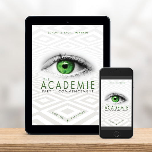The Academie (eBook)