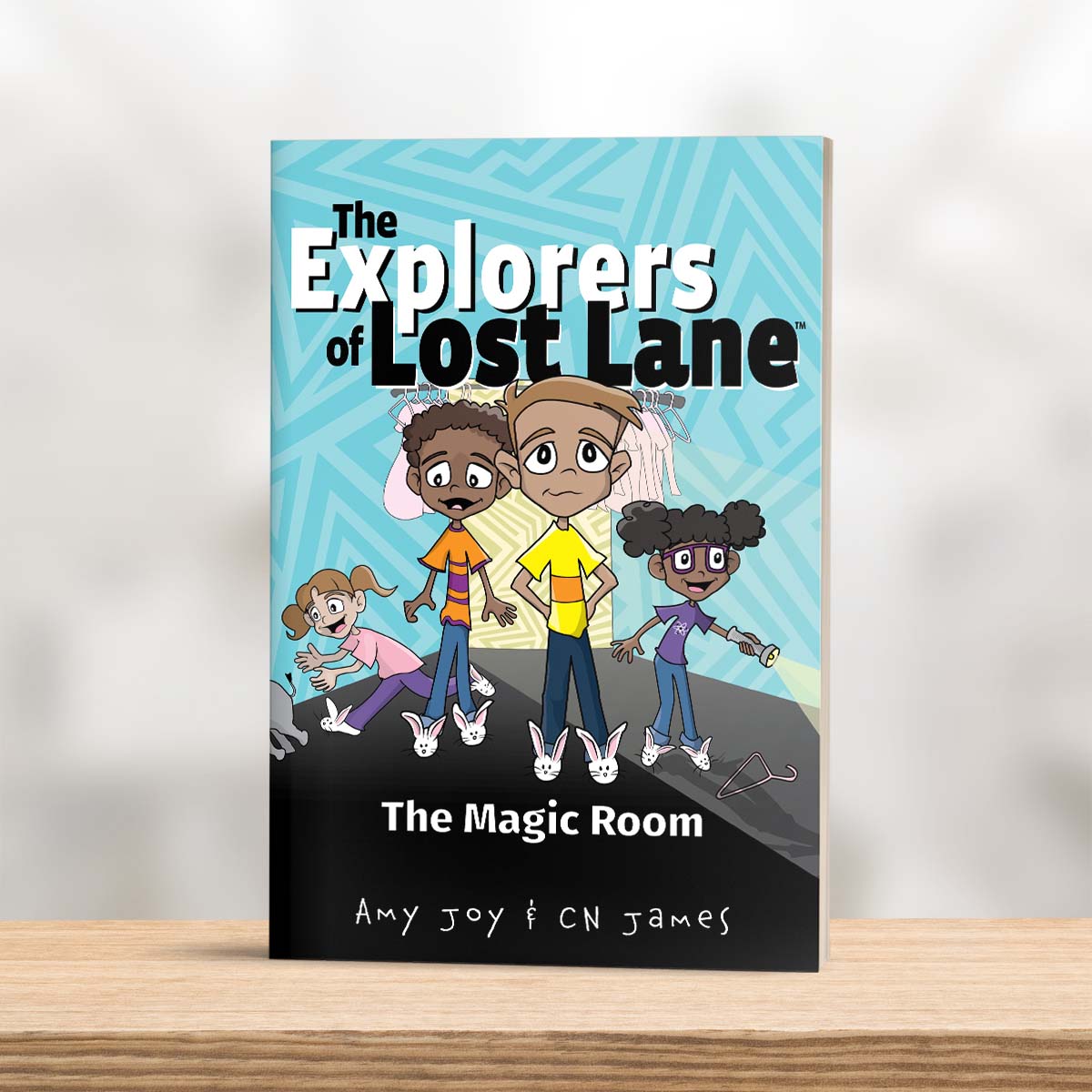 The Explorers of Lost Lane and The Magic Room (Paperback)
